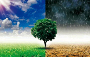 التغيرات المناخية وتأثيرها على البيئة