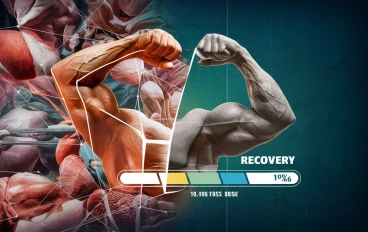 Understanding the Vital Role of Recovery in Muscle Building