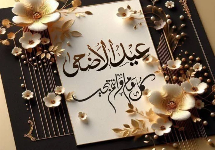 اقتراحات وحلول مهمه