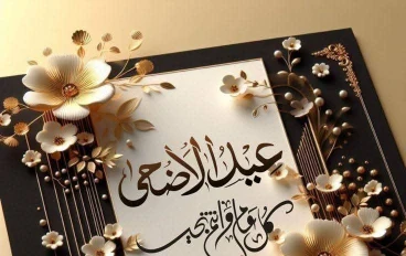 اقتراحات وحلول مهمه