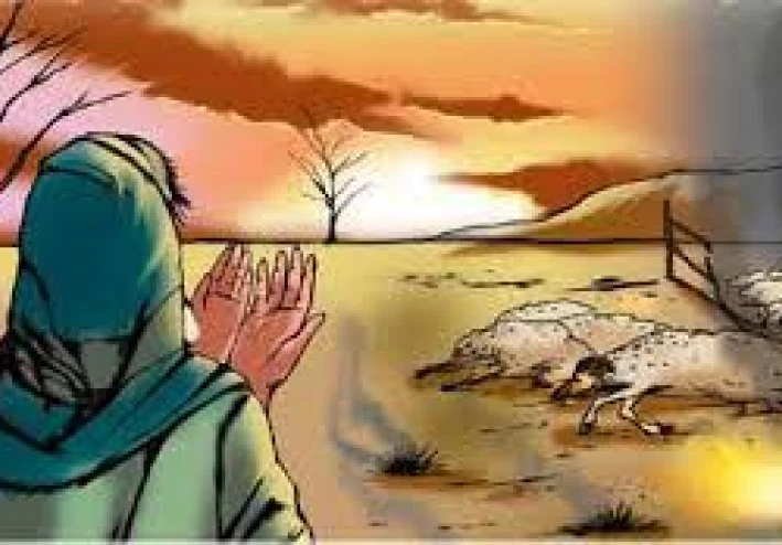 قصه ايوب عليه السلام