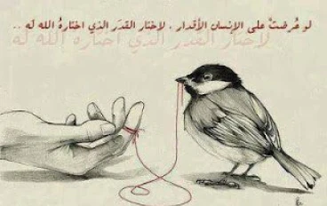ماذا سأكتب : فات الأوان 