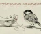 article image for ماذا سأكتب : فات الأوان 