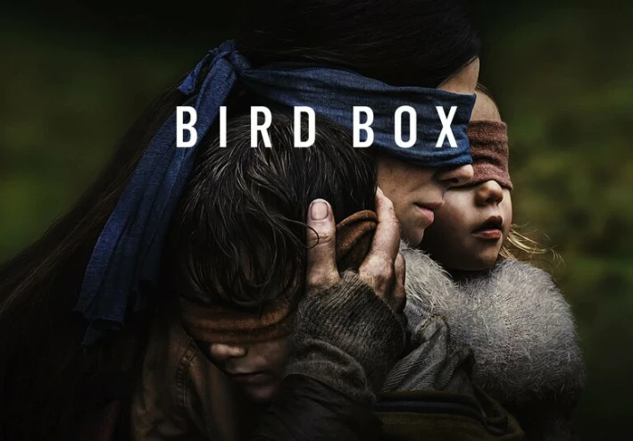 "Bird Box: فيلم العيون المعصوبة.. والرؤية الأوضح عن الإنسانية"
