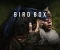 صورة مقال "Bird Box: فيلم العيون المعصوبة.. والرؤية الأوضح عن الإنسانية"