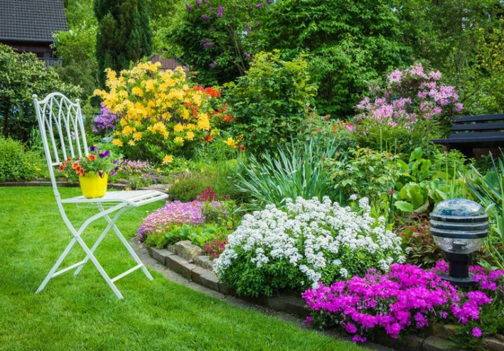حديقه المنزل النباتيه