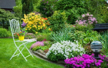 حديقه المنزل النباتيه 