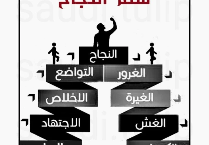 من الصفر الي القمة