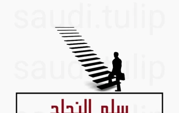من الصفر الي القمة 