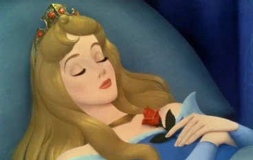 The tale of the sleeping princess