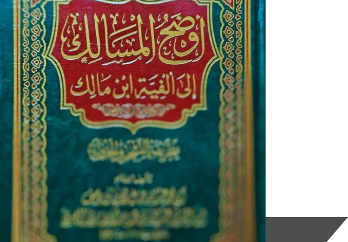 ترجمة ابْنُ هِشَامٍ النَّحْوِيّ الأنْصَارِيّ