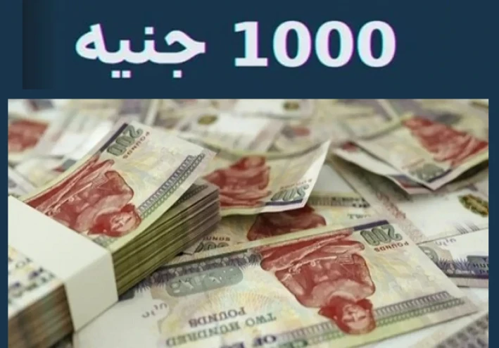 كيف تبدأ الاستثمار بمبلغ 1000 جنيه فق