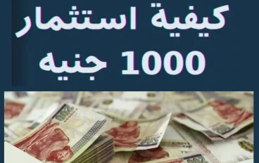 كيف تبدأ الاستثمار بمبلغ 1000 جنيه فق