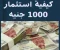 صورة مقال كيف تبدأ الاستثمار بمبلغ 1000 جنيه فق