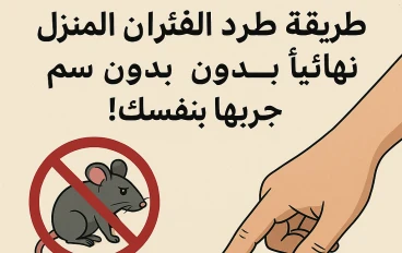 طريقة طرد الفئران من المنزل نهائيًا بدون سم – جربها بنفسك!