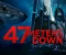 صورة مقال "أسماك القرش ليست الخطر الوحيد... ماذا يخفي فيلم 47Meters Down  ؟"