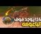 صورة مقال "سبحان الله"شرح آية "بعوضة فما فوقها" وإثبات الإعجاز العلمي