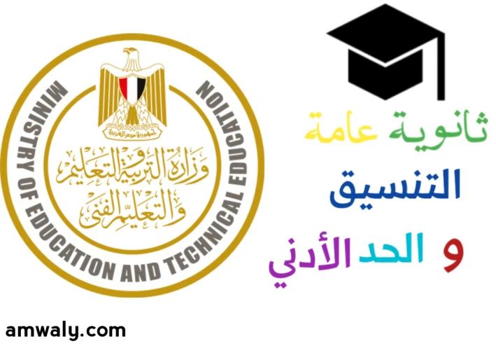 تنسيق الثانوية العامة 2025: الحد الأدنى للقبول في المحافظات المصرية