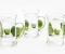 صورة مقال How Drinking Enough Water Supports Your Body and Mind
