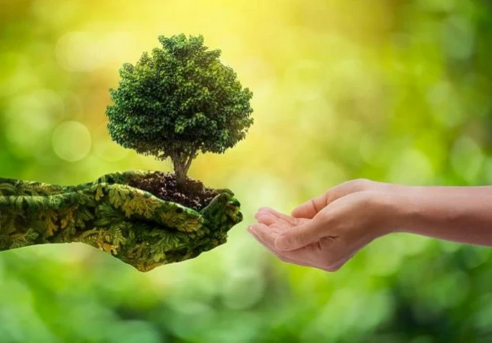 الحياة الصديقة للبيئة: من الزراعة المنزلية إلى المنتجات الحيوية… أسلوب حياة عصري ومستدام