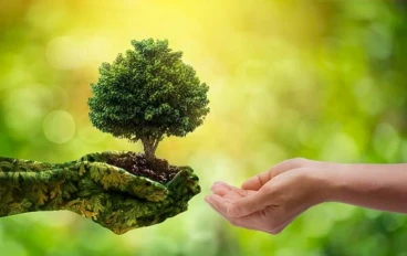الحياة الصديقة للبيئة: من الزراعة المنزلية إلى المنتجات الحيوية… أسلوب حياة عصري ومستدام