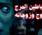صورة مقال قصة أحمد عبد القادر الشيطان وزوجاته الثلاثة: جريمة أسرية تهز الرأي العام