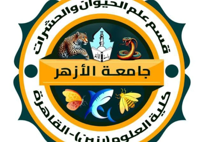 السمكة الصخرية الموميتة