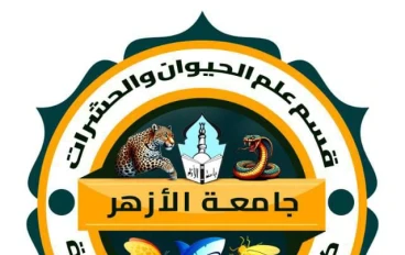 السمكة الصخرية الموميتة