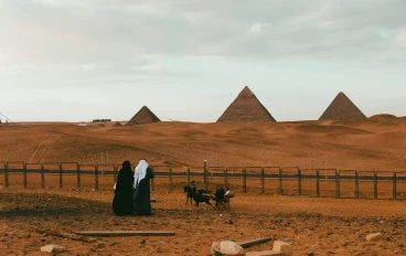 فيلم السينما العربية