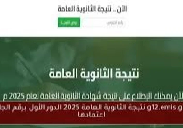 موعد إعلان نتيجة الثانوية العامة 2025.. خطوات الاستعلام عبر الرابط الرسمي (فور اعتمادها)