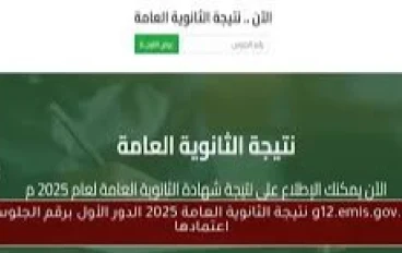 موعد إعلان نتيجة الثانوية العامة 2025.. خطوات الاستعلام عبر الرابط الرسمي (فور اعتمادها) 