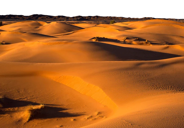 عيون الجنيّة في صحراء المغرب
