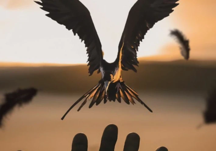 رحلة الى المجهول