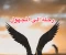 صورة مقال رحلة الى المجهول 