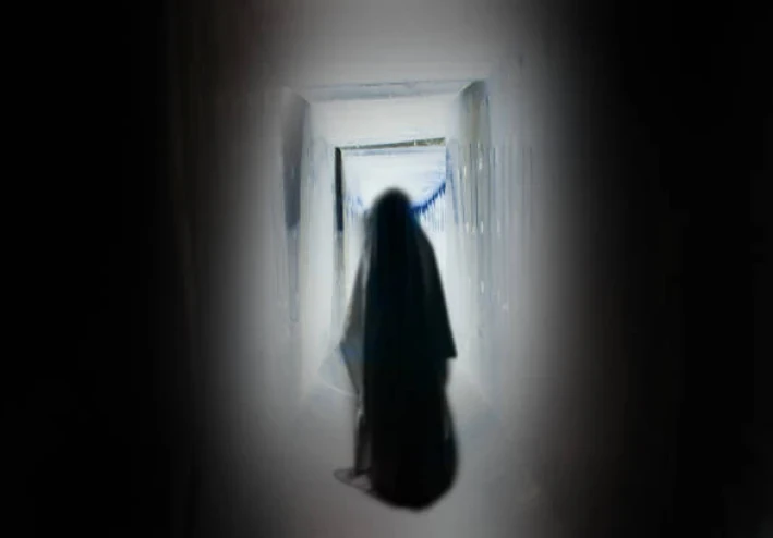 سيدة الظلّ في محطة طوكيو