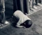 صورة مقال في حضرة النور الإلهي: كيف تعيش لحظات لا تُنسى مع الله😍