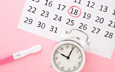 دليل شامل لحساب التبويض ب 5 طرق لزيادة فرص الحمل