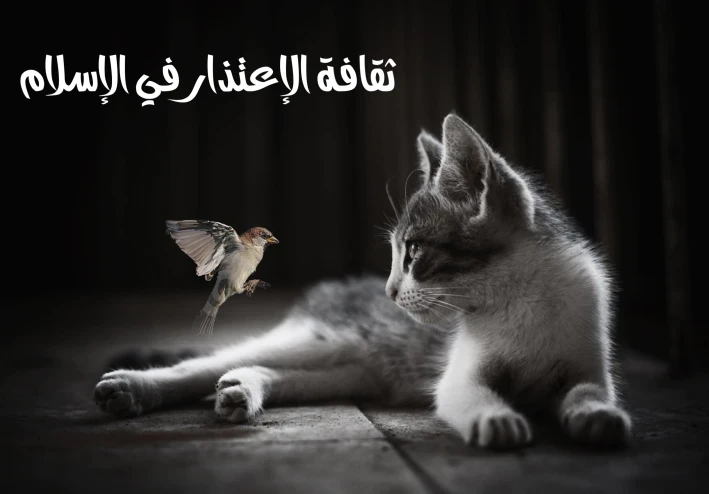 🙏ثقافة الاعتذار في الإسلام:    قوة لا ضعف