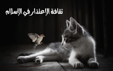 🙏ثقافة الاعتذار في الإسلام:    قوة لا ضعف