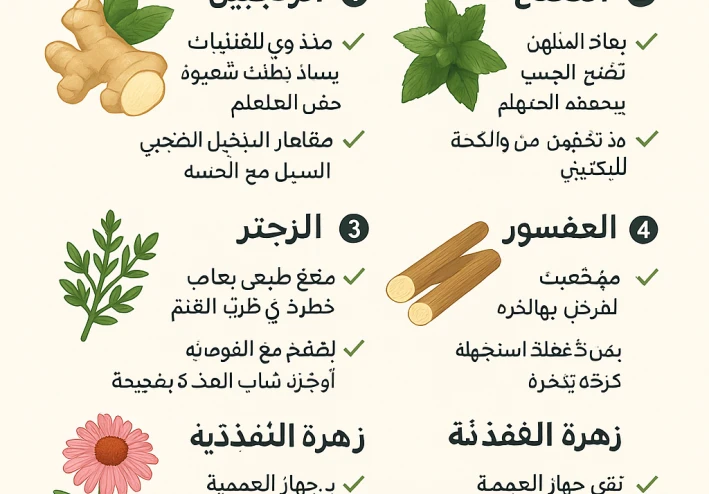 🌿 أهم الأعشاب المفيدة لصحة الرئة