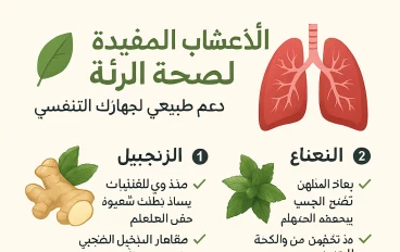 🌿 أهم الأعشاب المفيدة لصحة الرئة