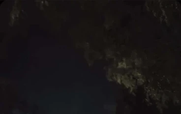 ليلة في الشارع 