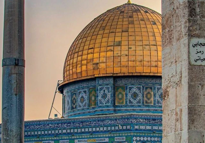 بصر و سمع
