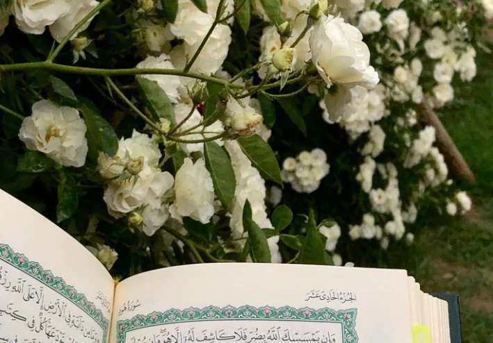 الامام ابن القيم وحياته ودوره في العلم والدين ومؤلفاته ومشايخه ووفاته