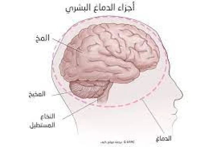 كيف تستخدم عقلك في حل المشاكل الذهنية