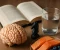 article image for طرق لتقوية الذاكرة والتركيز – دليل عملي وسهل