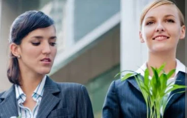 المقارنة لجام السعادة