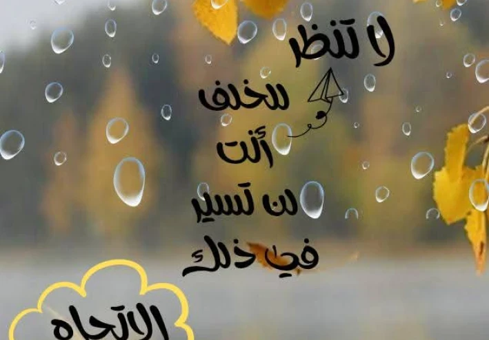 ابدأ من جديد، حتى لو تعثّرت ألف مرة