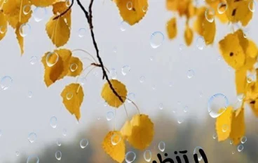 ابدأ من جديد، حتى لو تعثّرت ألف مرة