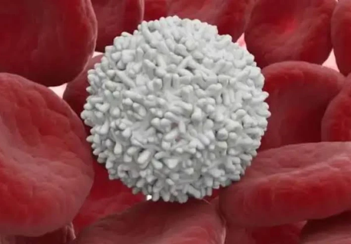 كل ما تريد معرفته عن الجنود المجهولة فى جسدك